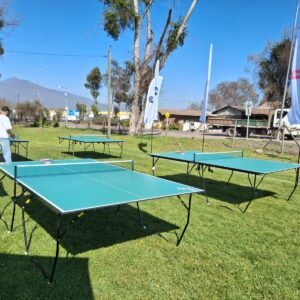 Mesa de Ping pong